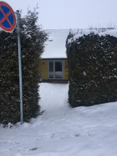 Ferienwohnung Ani, Apartment David