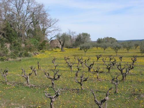 C�t� Cour, C�t� Jardin