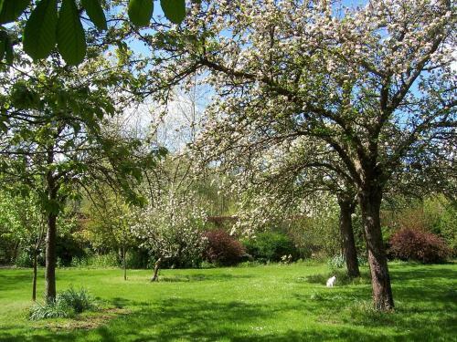 Bed & Breakfast Le Clos Du Vivier