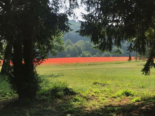 Bed & Breakfast Les Mazeraies