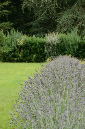 Bed & Breakfast Les Mazeraies