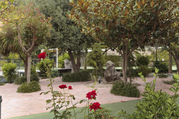 Hotel Brisamar