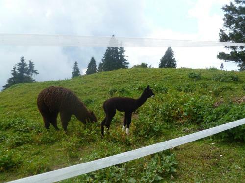 Bed & Breakfast Chez Les Hypolites