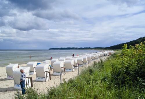 Wald-hotel