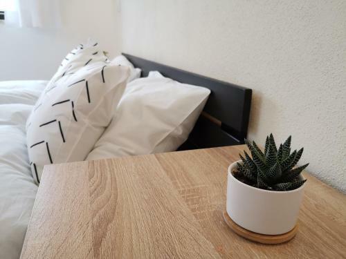 Apartamento Moderne Ferienwohnungen Mit Designbad