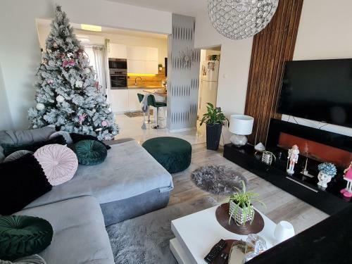 Luxury Apartments Mia