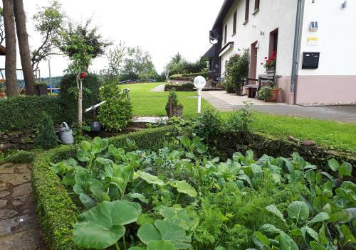 Apartamento Ferienwohnung H�gelhaus