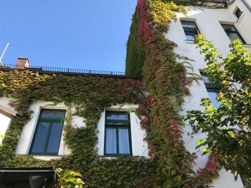Hostal Budget Pension Plauen