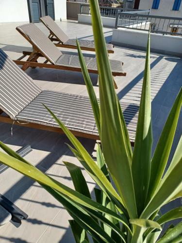 Luxury Apartment Cvita
