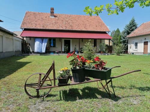 Apartamento Istv�n Vend�gh�z