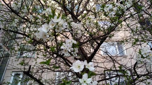 Geszteny�s Apartman
