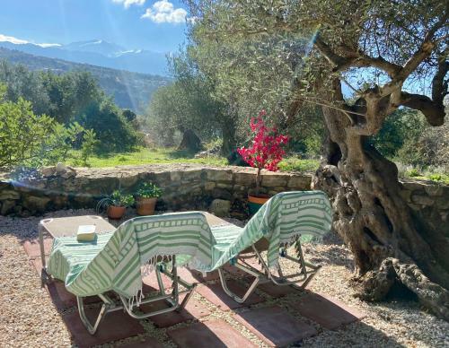Apartamento Olive Garden