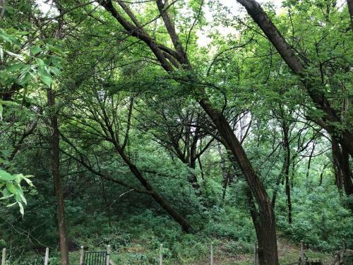 Apartamento Sz?ke Tisza Pihen?park