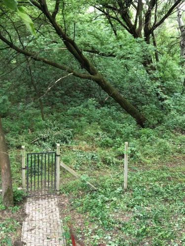Apartamento Sz?ke Tisza Pihen?park
