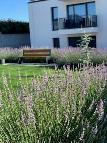 Paskom Apartmanh�z