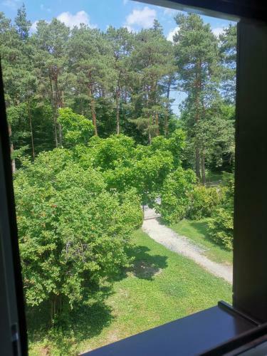 Hostal Sz�chenyi Vad�szh�z