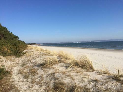 Apartamento Strandresidenz Appartement Basst�lpel A22