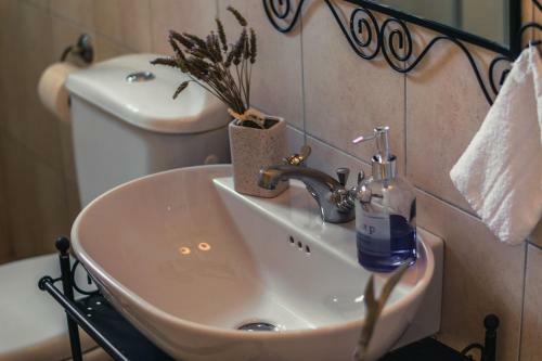 Apartamento Sofia's Apt - Just 30 Meters From Ipsos Beach
