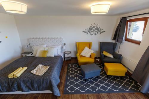 Hostal Bor�rium Vend�gh�zak - Zen-g? H�z