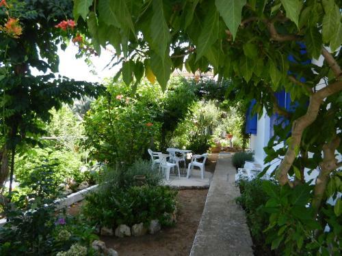 Anticlea I