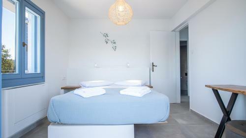 Akasha Suite IV