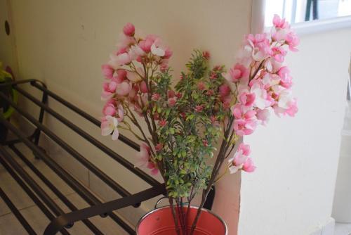 Apartamento Ioannina Candy Studio