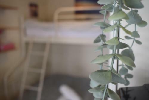 Apartamento Ioannina Candy Studio