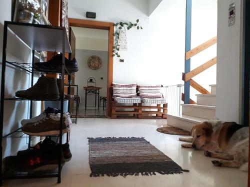 Urban Yoga House Hostel & Retreat