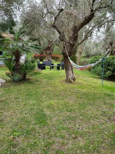 Bill's Garden Villa