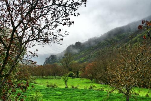 Chalet Coquelicot (co-cli-co) Relax In Nature