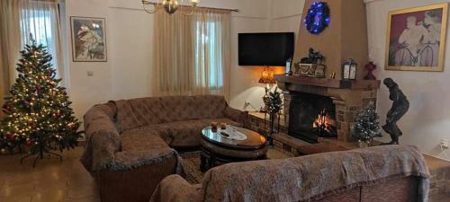 Villa Lagonissi Luxury-comfort-private Residence