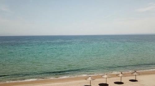 Apartamento Beach Bird Eagle