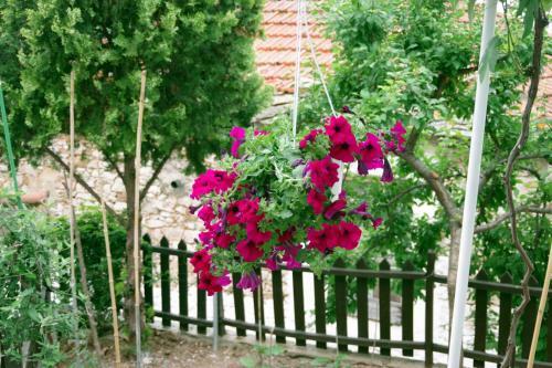 Cozy Traditional House In Thassos, Kallirachi