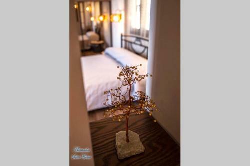 Alexander Suite Home