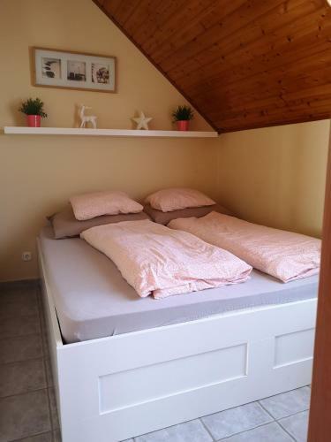 Universtreet Apartman