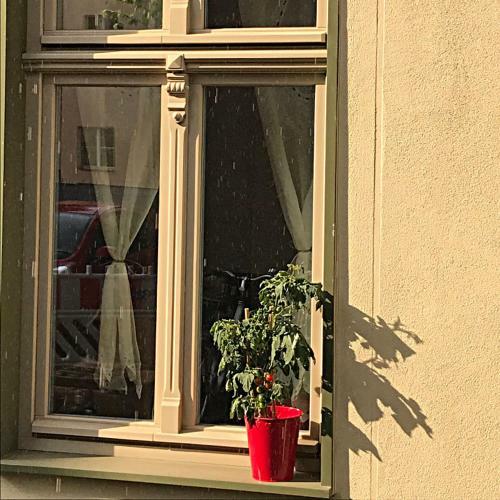 Apartamento Ferienwohnung Kamp `himmelsblick` Mit Schlafgalerie