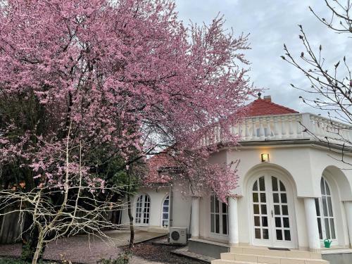 Bed & Breakfast Sungarden Vend�gh�z, �tterem, B�r