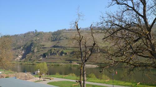 Apartamento Moselblick