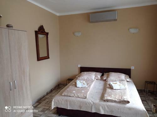 Borina Vend�gh�z