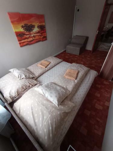 Borina Vend�gh�z