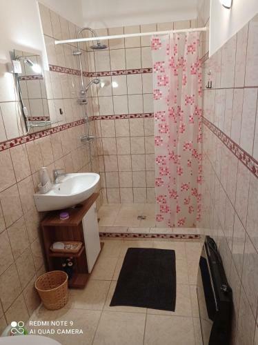 Borina Vend�gh�z
