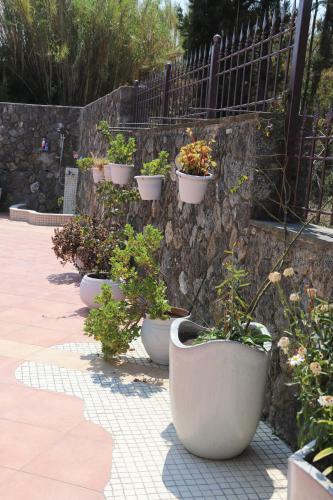 Villa Dada House