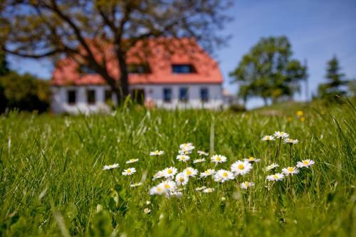 Hostal Gutshaus Ketelshagen