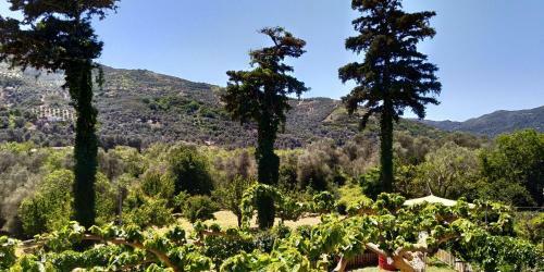 Apartamento Guesthouse Dramoundana