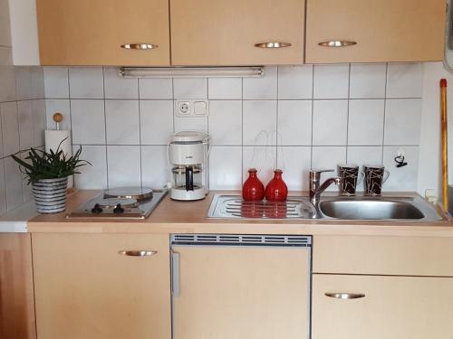 Apartamento Appartements G�stehaus Monika