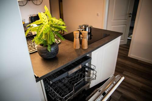 Apartamento Unterschlupf Radeberg Mit Garten & Whirlpool