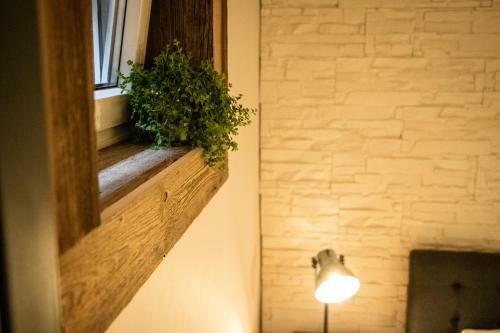 Apartamento Unterschlupf Radeberg Mit Garten & Whirlpool