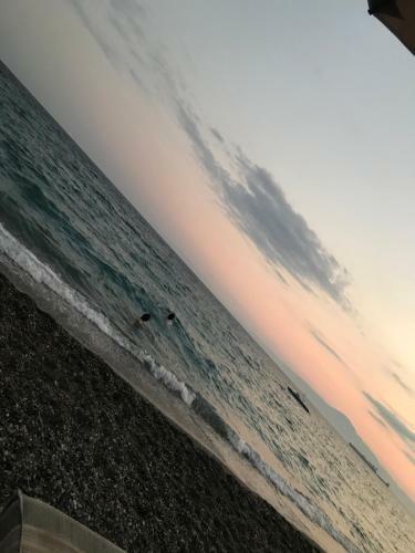 Apartamento Balsam Suite - 50m To The Beach