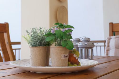 Apartamento Centro Home