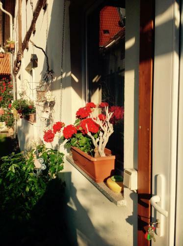 Apartamento Am Mathildenbrunnen Klein